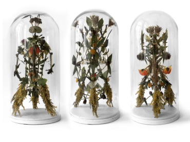 Tomaszkulka_owoc_z drzewa_poznania.`__